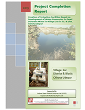 Program Report